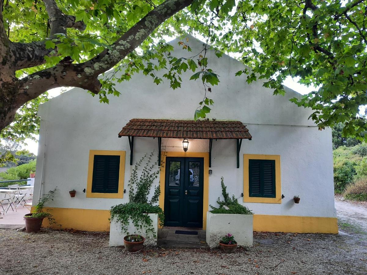 Montejunto Villas - Casa Do Platano Cadaval Exteriér fotografie