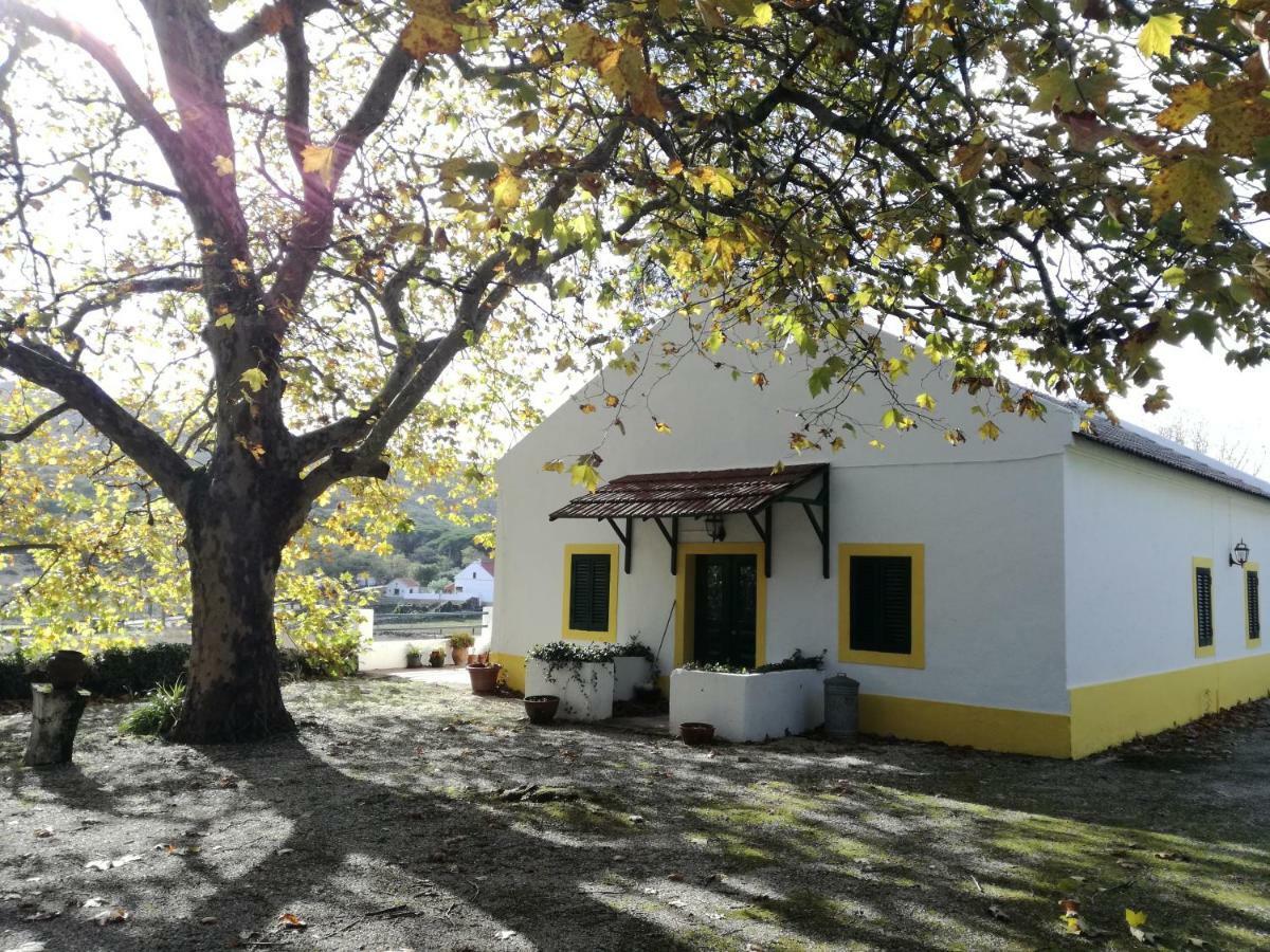 Montejunto Villas - Casa Do Platano Cadaval Exteriér fotografie