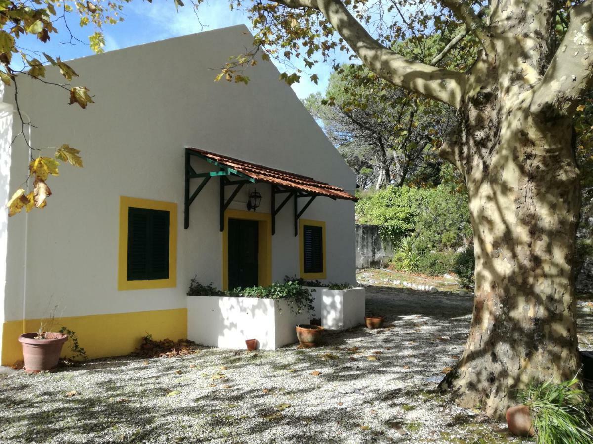Montejunto Villas - Casa Do Platano Cadaval Exteriér fotografie