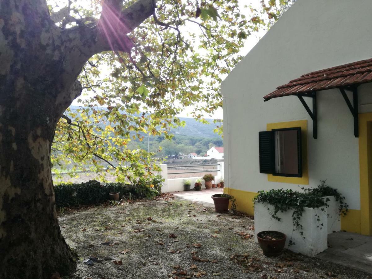 Montejunto Villas - Casa Do Platano Cadaval Exteriér fotografie